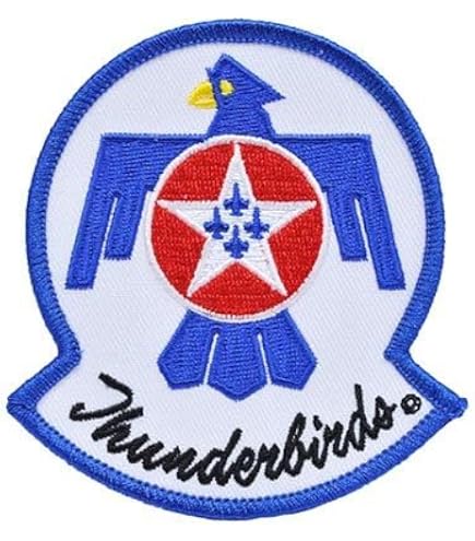 Amazon.com: United States Navy USN Blue Angels Flying Embroidered